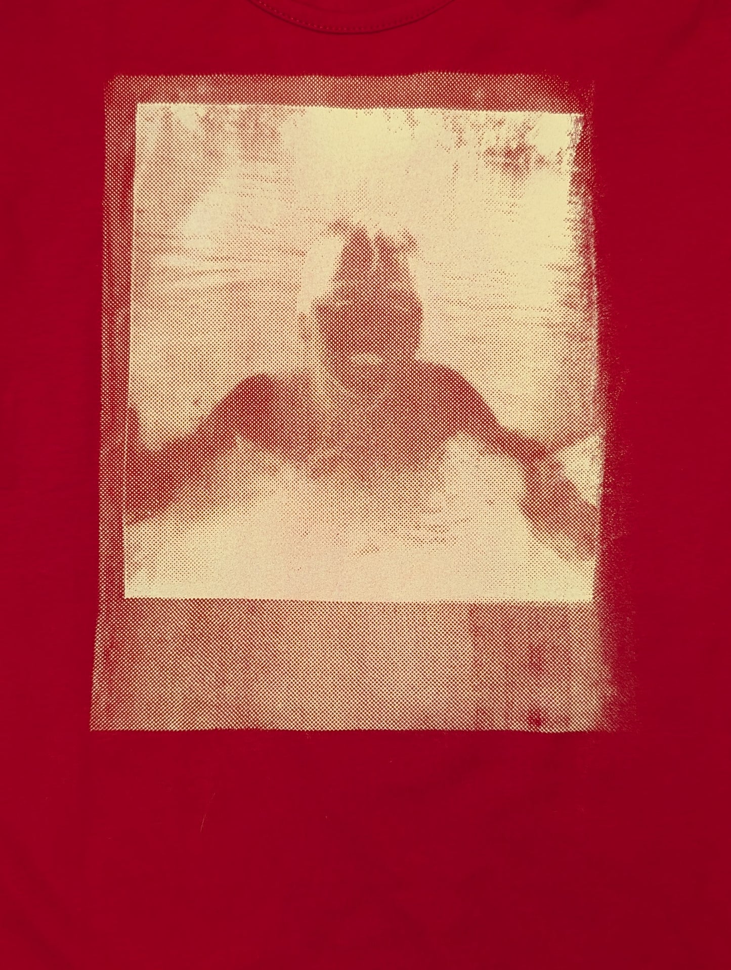 חולצת ארי הפוכה 3/4